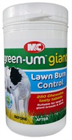 Green Um Giant for Giant Breeds 44-132 lbs ( 250 Tablets)