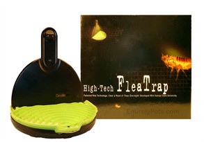 High-Tech Flea Trap