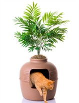 Hidden Litter Box