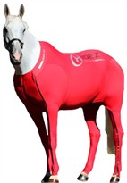 Hidez Horse Compression Suits - RED (56 - 57 3/4 inches)