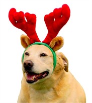 Holiday Pet Reindeer Antlers (Large)