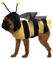 Casual Canine Honey Bee Costume - MEDIUM