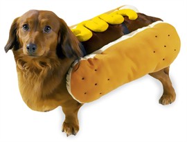 Hot Diggity Dog Costume Mustard - MEDIUM
