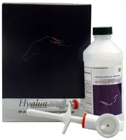 Hyalun Pro (90 gm)