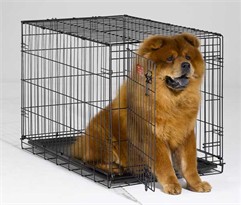 iCrate Folding Dog Crate - 36 x 23 x 25 BLACK