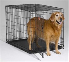 iCrate Folding Dog Crate - 42 x 28 x 30 BLACK
