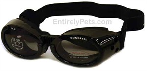 Doggles ILS - Interchangeable Lens System - Metallic Black Frame / Smoke Lens