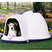 Petmate Indigo Dog Home - MEDIUM