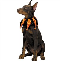 Halloween Jester Collar - MEDIUM 