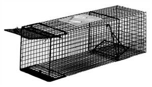 Kage All Animal Trap (36" x 11"x11") by Kness 