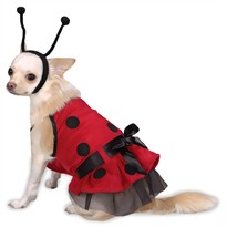 Casual Canine Lady Bug Costume