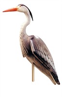 Laguna Blue Heron Decoy