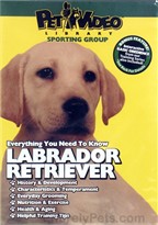Labrador Retriever - DVD