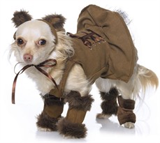Leg Avenue Dog Costumes 3 PC. Cuddly Lion Pup Costume