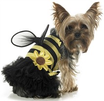 Leg Avenue Dog Costumes Daisy Bee Costume