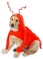 Casual Canine Lobster Costume - LARGE
