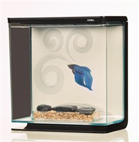 Marina Betta Kit (Large Zen Theme)