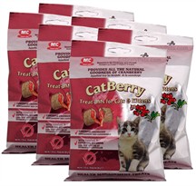 6-PACK CatBerry Treat-UMs for Cats & Kittens - (10.50 oz)