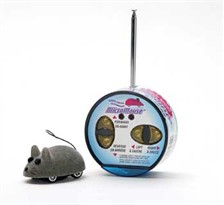 Remote Control Micro Mouse Micro Mini Racer