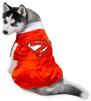 Casual Canine Mighty Mutt Pet Costume - MEDIUM
