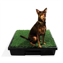 Pet Loo Mini Wee Indoor Dog Yard (24" x 23")