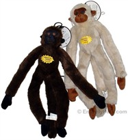 MonkeyWorth