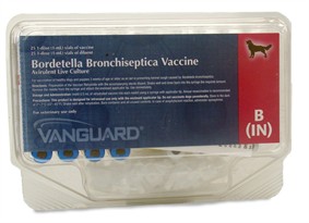 Vanguard B, 25 x 1 ml tray dog kennel