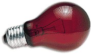 Night Light Red Reptile Bulb (100 watt)