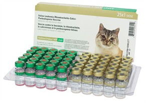 Nobivac Feline 1-HCP + FeLV (25 Dose)