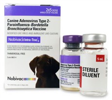 Nobivac Intra-Trac3 (2x5ml Dose)