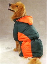 Casual Canine Base Camp Parkas - Green & Orange