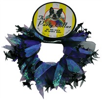 Halloween Party Collar - Cats & Witch - Medium (12")