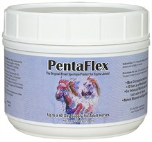 Bio-Nutrition PentaFlex HA (480 gm)