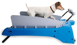 Petzen Dogtread Treadmill - Small