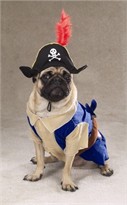 Pirate Pup Dog Costume - SMALL