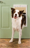Petsafe - Plastic Pet Door, Premium White, Large