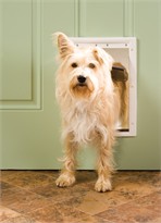 Petsafe - Plastic Pet Door, Premium White, Medium