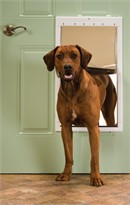 Petsafe - Plastic Pet Door, Premium White -  X-Large