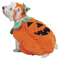 Pumpkin Pooch Costume - LARGE