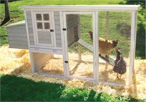 Precision Pet Hen House Chicken Coop