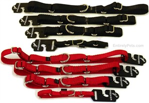 Premier Collar ( 3/4 inch ) 