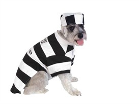 Halloween Prisoner Costume - LARGE