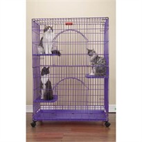 ProSelect Foldable Cat Cage 35.5Lx24Wx48 - Purple