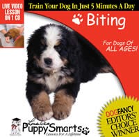PuppySmarts Biting (Video CD)