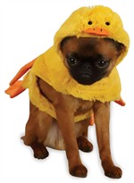 Zack & Zoey Quakers Duck Costume - LARGE