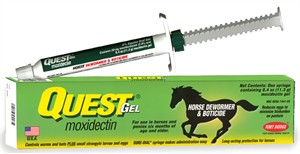 Quest 2% Oral Gel