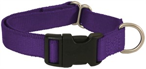 Premier Quick Snap Collar - MEDIUM / PURPLE (3/4")