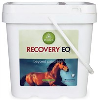 Recovery EQ (11 lb.)