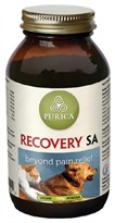 Recovery SA Powder (150g)