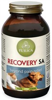 Recovery SA Powder - 350 g